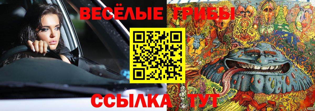 Псилоцибиновые грибы Psilocybe  Вход с VPN  Тайшет 